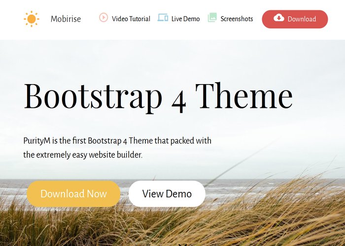 Bootstrap 4 Templates